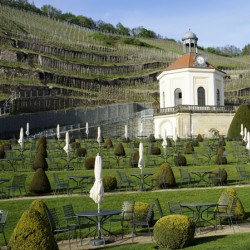 Radebeul Schloss Wackerbarth